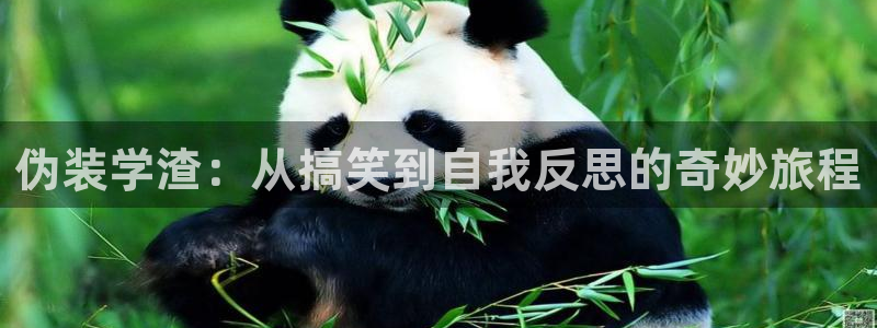 漫禁天堂漫画：伪装学渣：从搞笑到自我反思的奇妙旅程